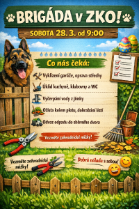 brigada-v-zko---pomozte-nam-.png